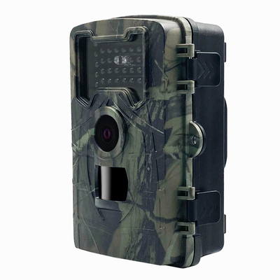 JPG AVI HD Trail Camera 34pcs LED 24MP 1080P Hunting Night Vision Wildlife Camera